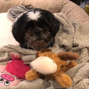 Meet your Posher, Laura